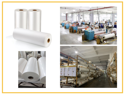 SGS ISO9001 ρόλων ταινιών ελασματοποίησης προστασίας κινητή BOPP εκτύπωσης πιστοποίηση